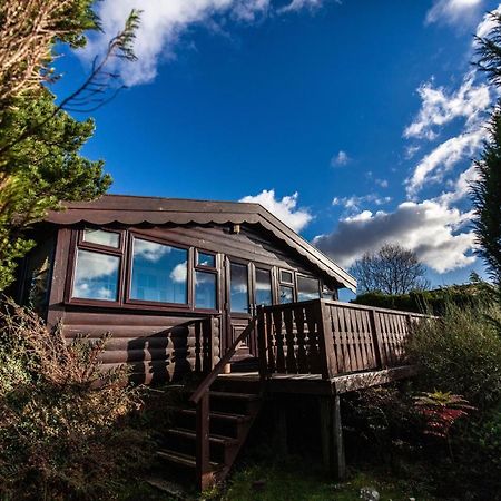 Log Cabin Nr Coed Y Brenin By Seren Short Stays Trawsfynydd Dış mekan fotoğraf